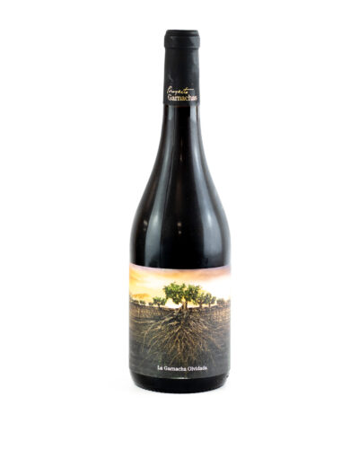 La Garnacha Olividada  de Aragon